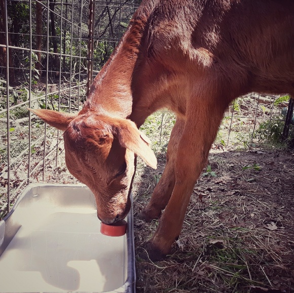 Meet your Posher, Tiffany - Picture 1 of 1